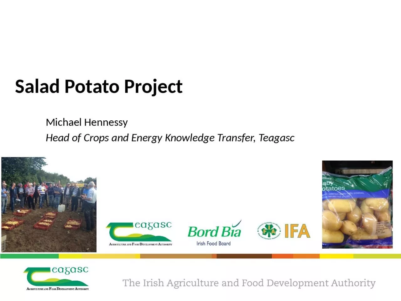 PPT-Salad Potato Project Michael Hennessy