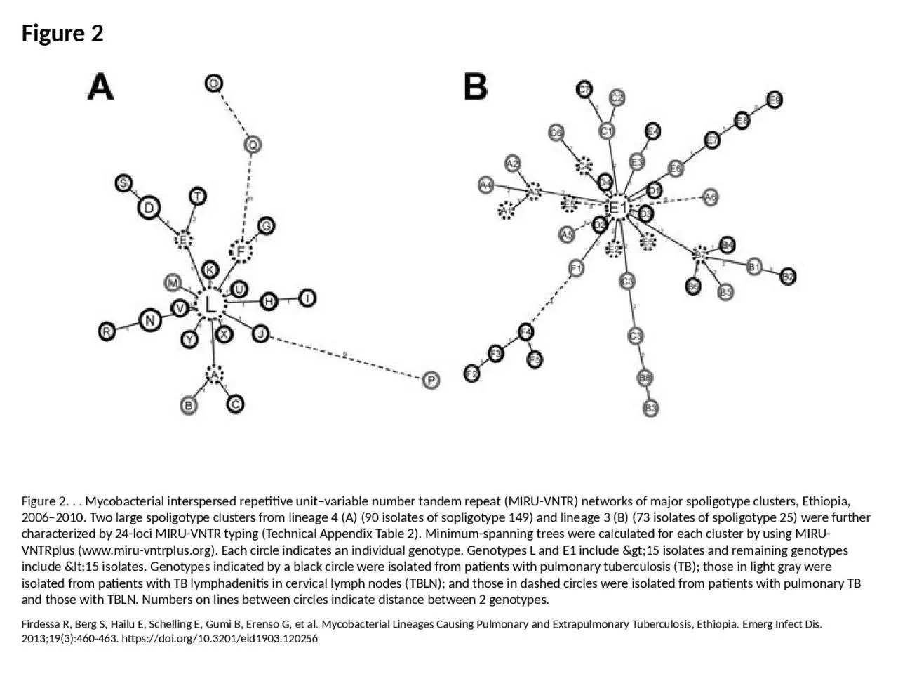 PPT-Figure 2 Figure 2. . . Mycobacterial interspersed repetitive unit–variable number tandem