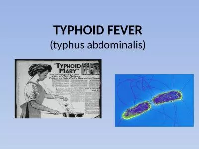 TYPHOID FEVER (typhus  abdominalis