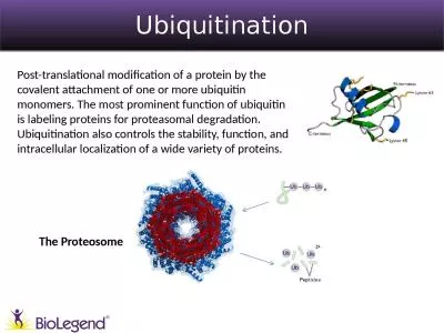 Ubiquitination ® Post-translational modification of a protein by the covalent attachment of one or