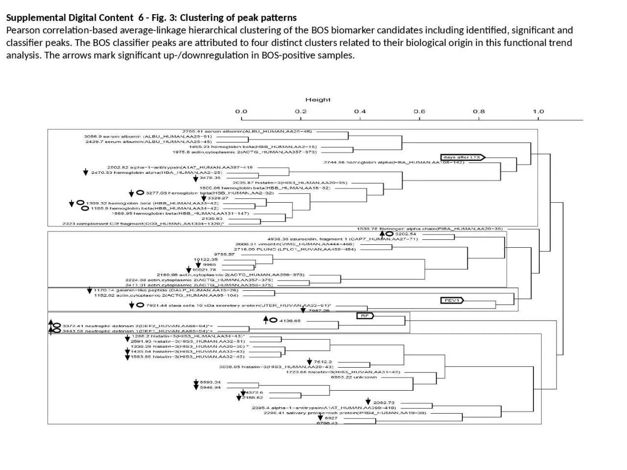 PPT-Classifier peak BOS risk factor