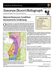 Sonoran Desert Heliograph 1(2)1