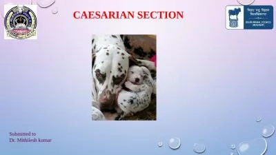 CAESARIAN SECTION Submitted to