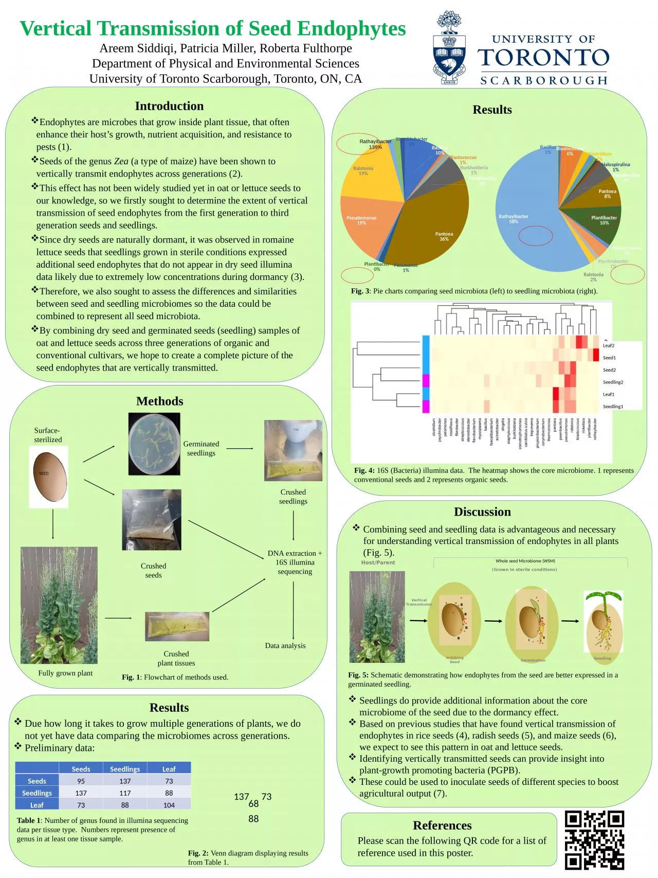 PPT-Vertical Transmission of Seed Endophytes