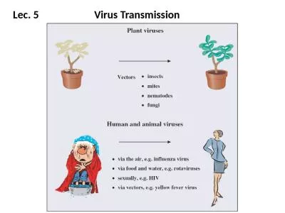 Lec . 5                      Virus Transmission