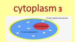 3 Vesicles  Vesicles are cellular organelles that are composed of a lipid bilayer