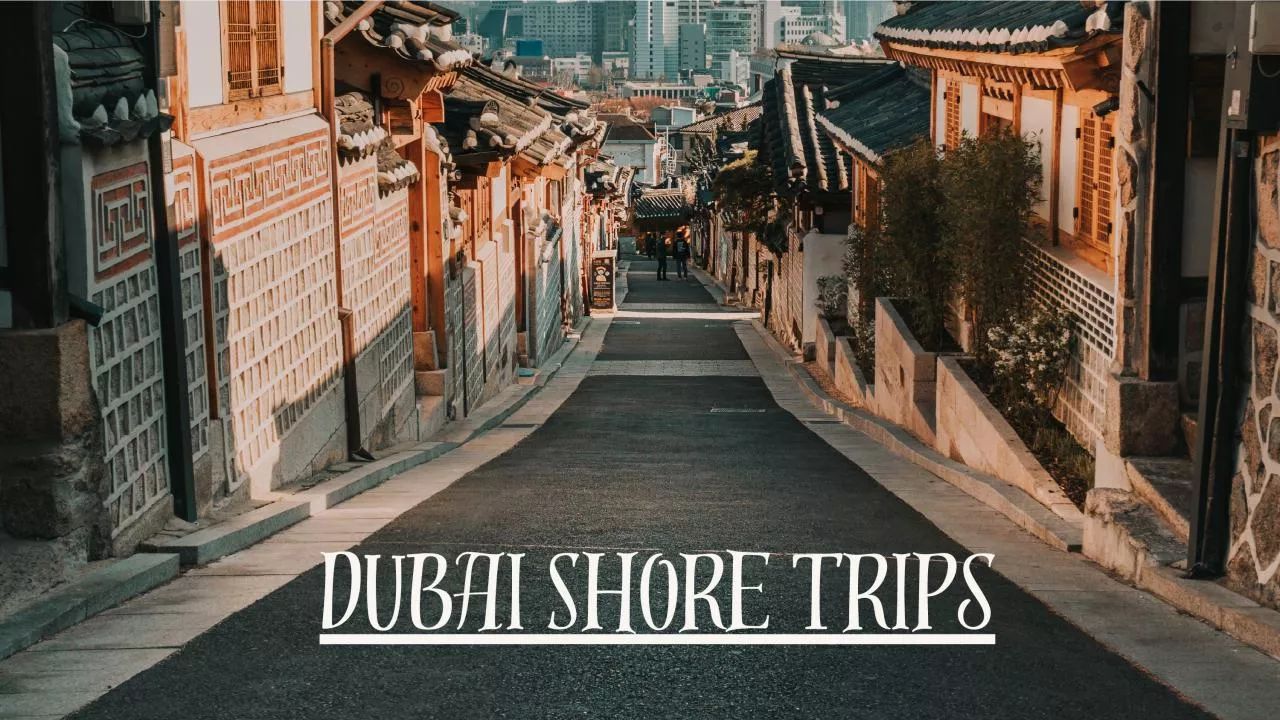 PDF-Live the moment with Dubai shore trips