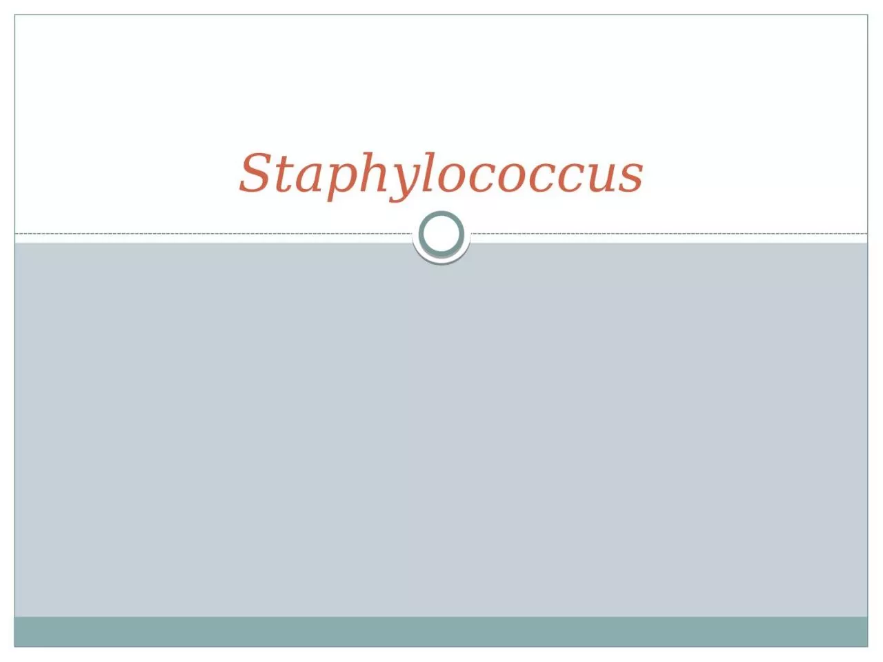 Staphylococcus Classification