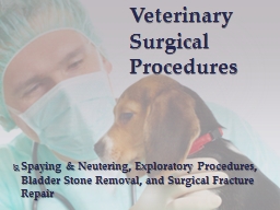 PPT-Spaying & Neutering, Exploratory Procedures, Bladder Stone Removal, and Surgical Fracture