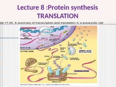 Lecture 8 :Protein synthesis