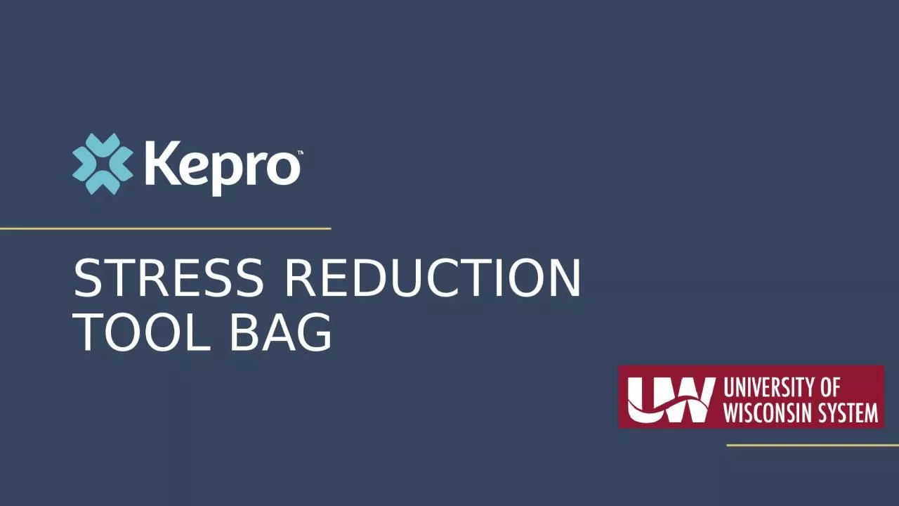 Stress Reduction Tool Bag