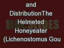 Description and DistributionThe Helmeted Honeyeater (Lichenostomus Gou