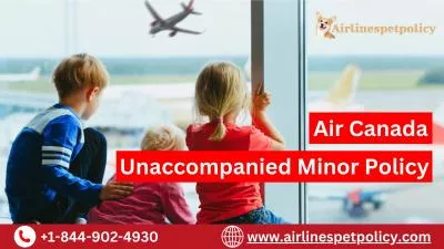 Flying Alone: Air Canada Unaccompanied Minor Policy