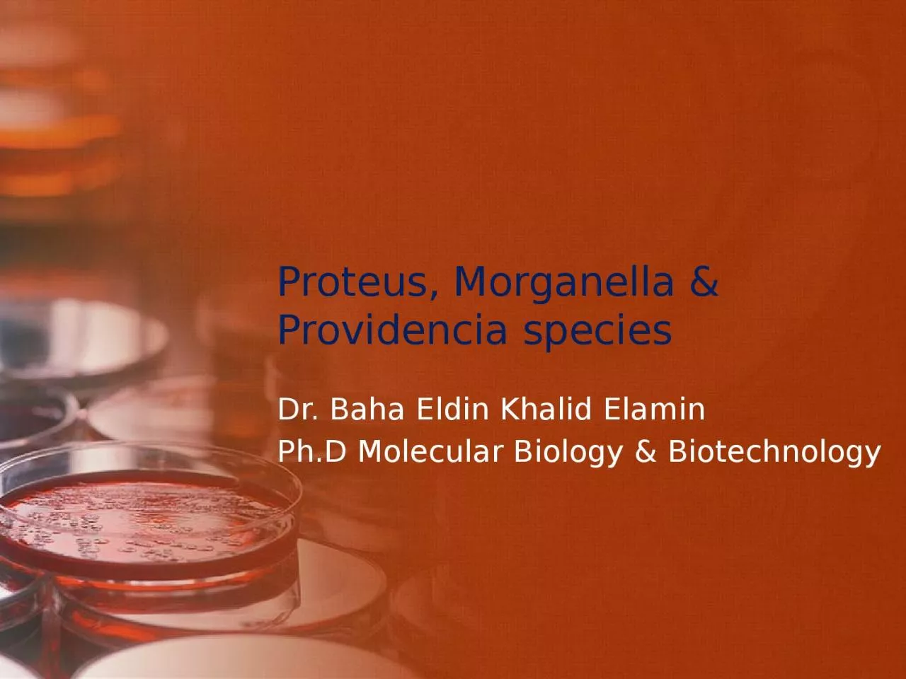 PPT-Proteus, Morganella & Providencia species