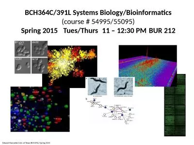 BCH364C/391L Systems Biology/Bioinformatics
