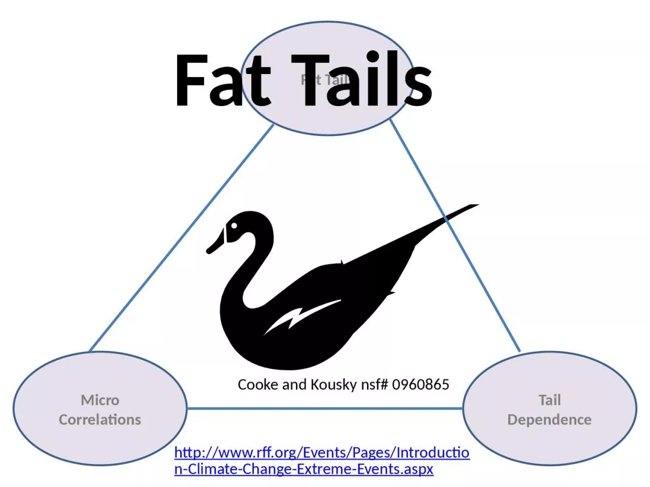 PPT-Fat Tails Tail Dependence