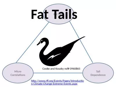 Fat Tails Tail Dependence