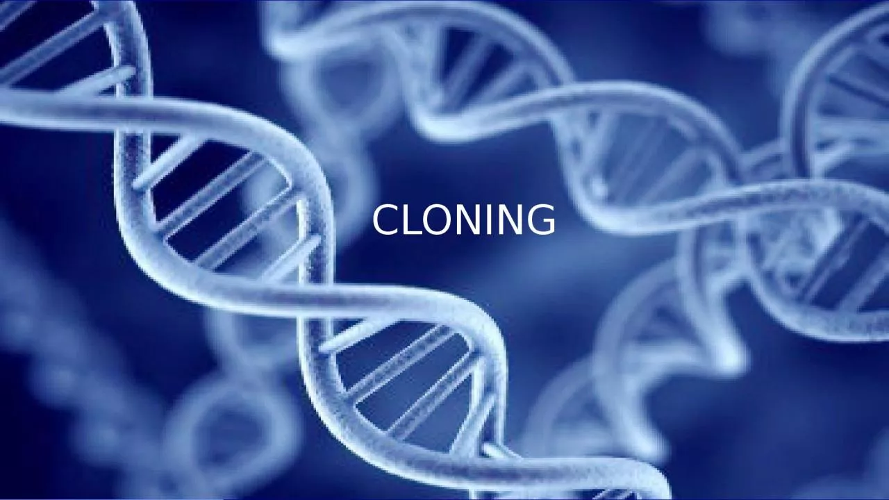 PPT-CLONING CONTENTS WORD ORIGINATION