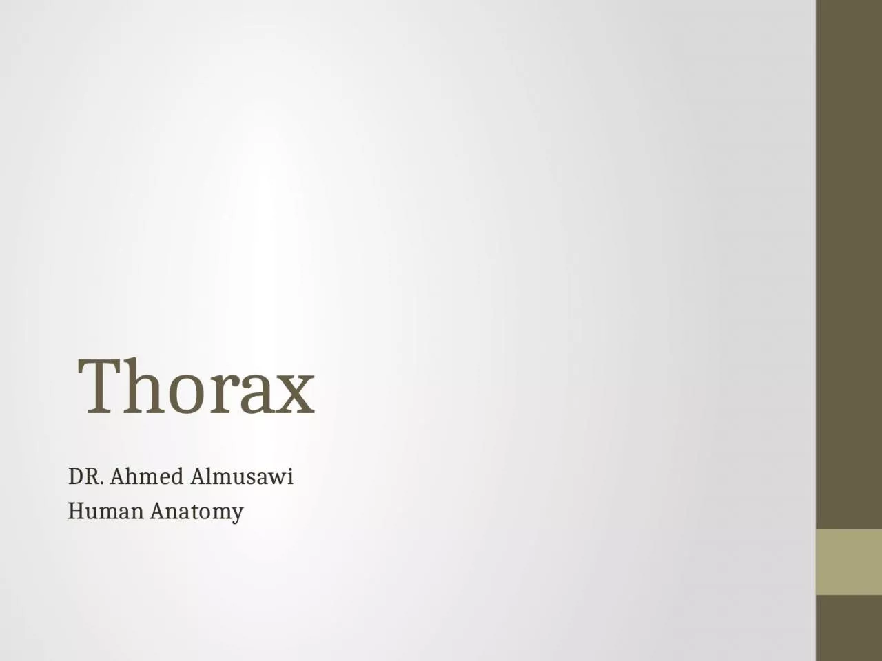 Thorax  DR. Ahmed  Almusawi