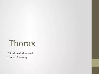 Thorax  DR. Ahmed  Almusawi