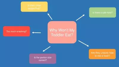 Why Won’t My Toddler Eat?