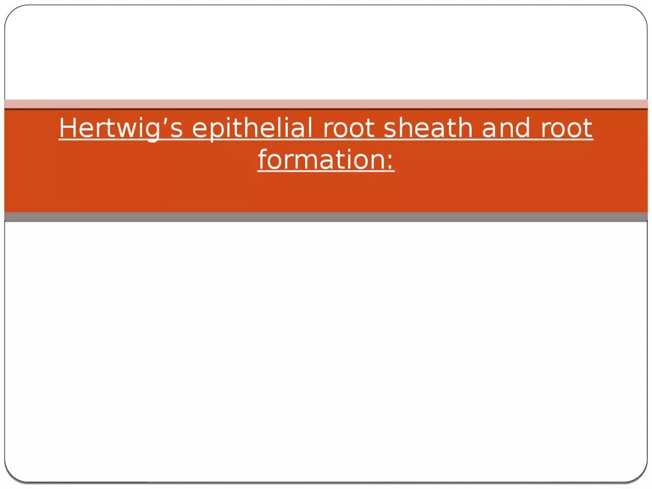 Hertwig’s  epithelial root sheath and root formation: