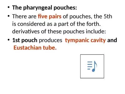 The pharyngeal pouches: There are