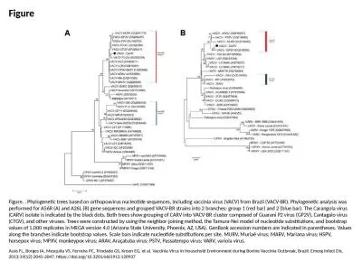 Figure Figure. . Phylogenetic trees based on orthopoxvirus nucleotide sequences, including