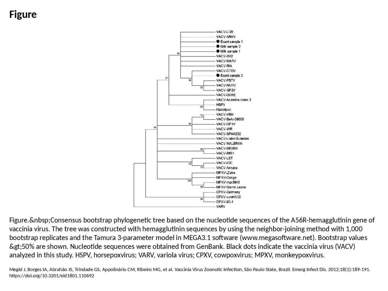 PPT-Figure Figure.&nbsp;Consensus bootstrap phylogenetic tree based on the nucleotide