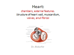 Heart :  chambers ,  external