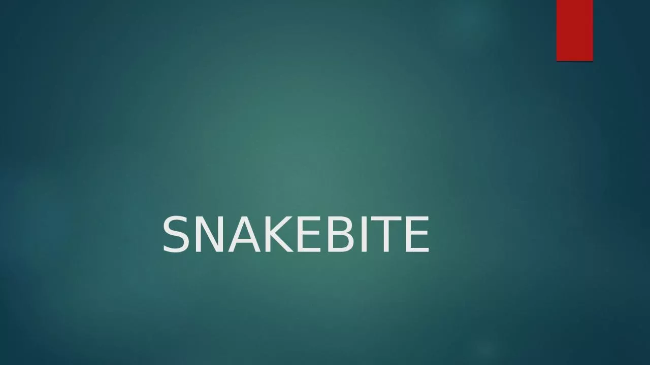 SNAKEBITE 2 Categories of Snakes in the USA