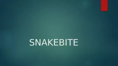 SNAKEBITE 2 Categories of Snakes in the USA