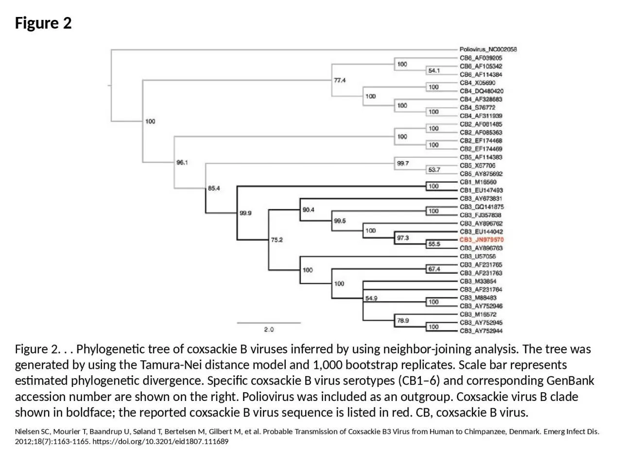 PPT-Figure 2 Figure 2. . . Phylogenetic tree of coxsackie B viruses inferred by using neighbor-joining