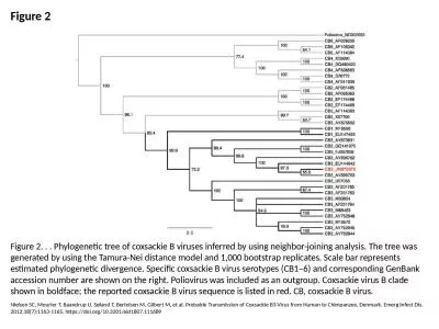 Figure 2 Figure 2. . . Phylogenetic tree of coxsackie B viruses inferred by using neighbor-joining