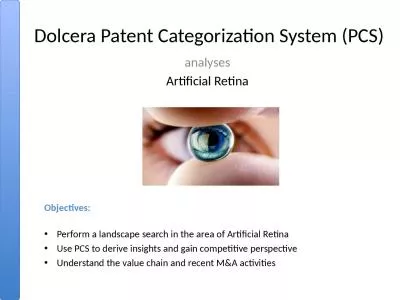 Dolcera Patent Categorization System (PCS)