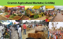 Gramin  Agricultural Markets (