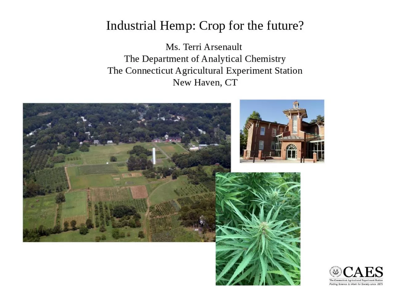 PPT-Industrial Hemp: Crop for the future?