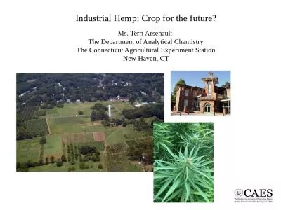 Industrial Hemp: Crop for the future?