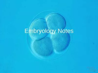 Embryology Notes Embryology