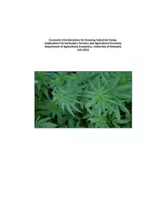 Economic Considerations for Growing Industrial Hemp:Implications for K
