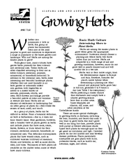 www.aces.eduGrowing  Herbshether you herbs, this group of popular to g