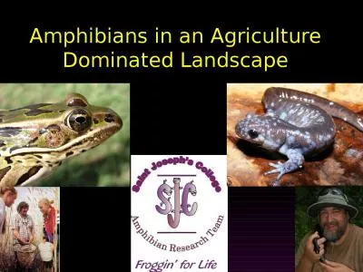 Amphibians in an Agriculture Dominated Landscape