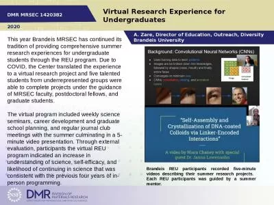 Virtual Research Experience for Undergraduates