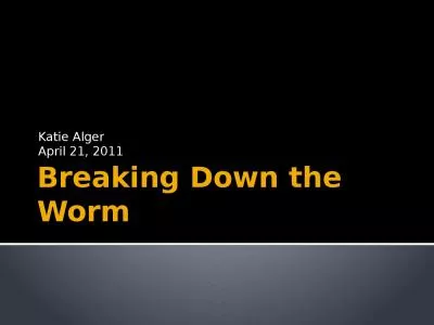 Breaking Down the Worm Katie Alger