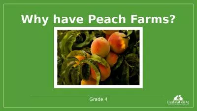 Grade 4 Why have Peach Farms?