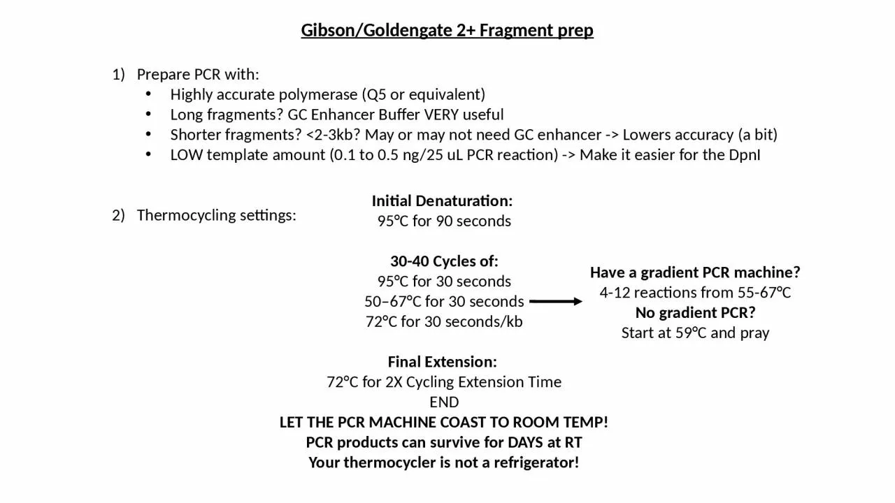 PPT-Prepare PCR with: Highly accurate polymerase (Q5 or equivalent)