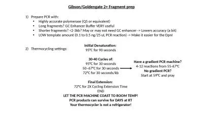 Prepare PCR with: Highly accurate polymerase (Q5 or equivalent)