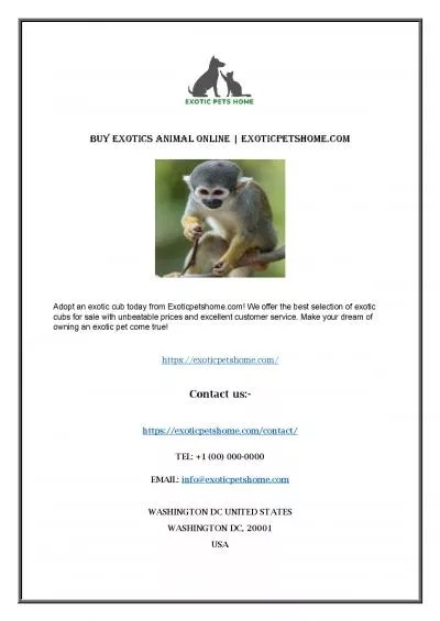 Buy Exotic Monkey | Exoticpetshome.com