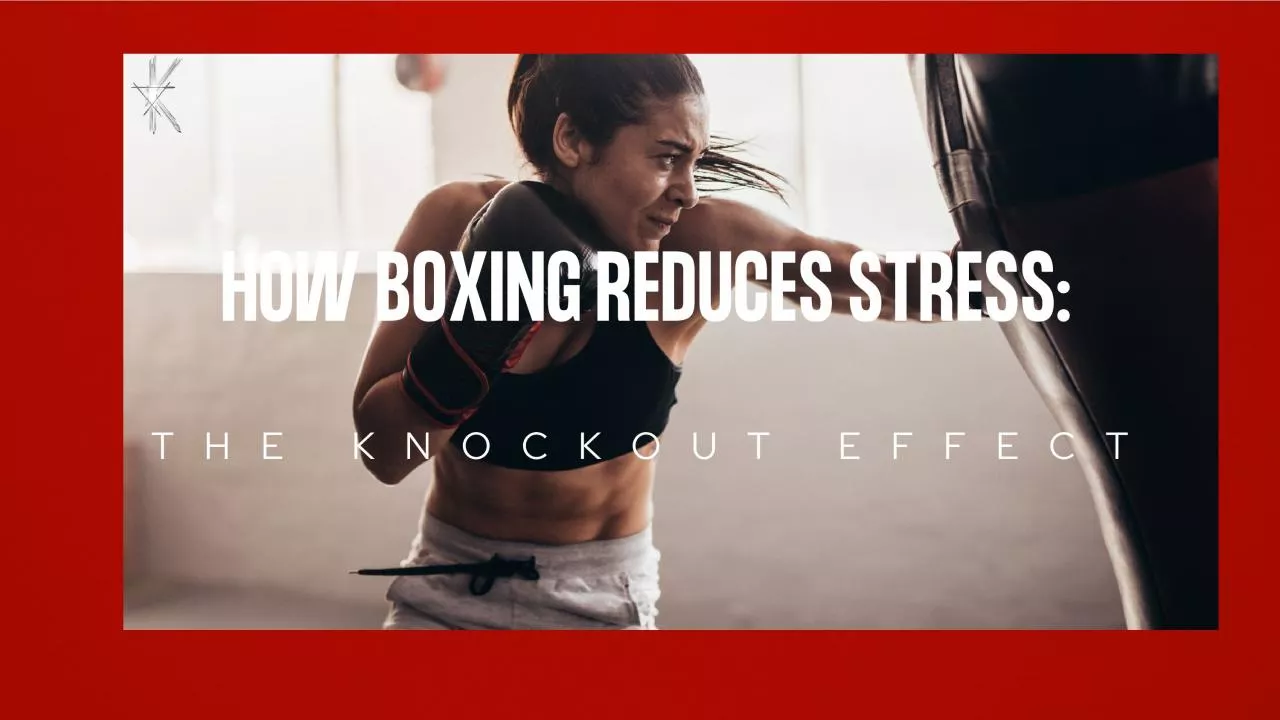 PDF-How Boxing Reduces Stress: The Knockout Effect