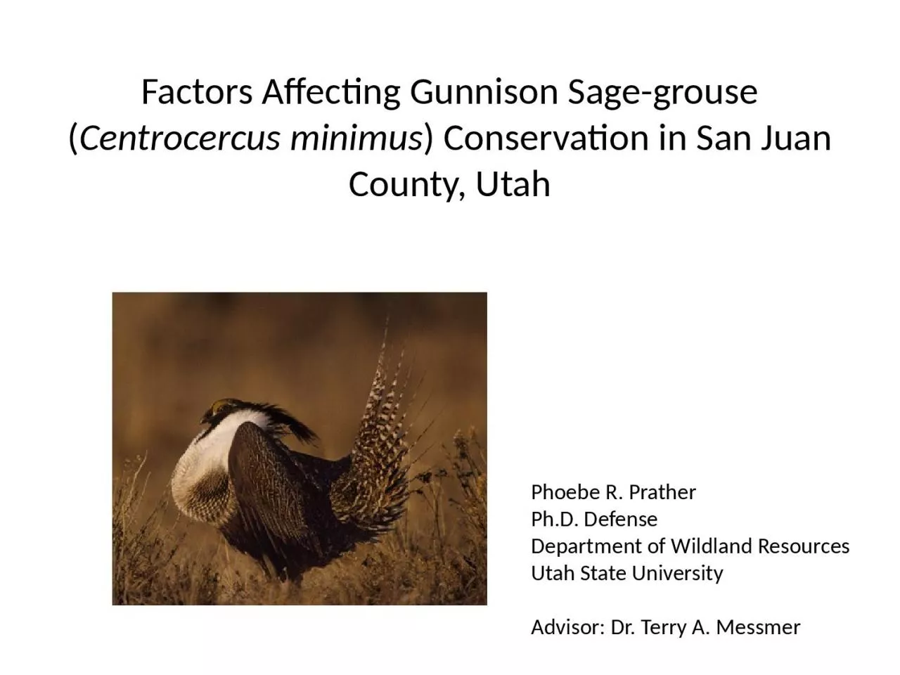 PPT-Factors Affecting Gunnison Sage-grouse (